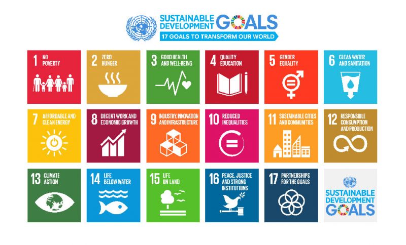 Sustainable Development Goals (SDGs)