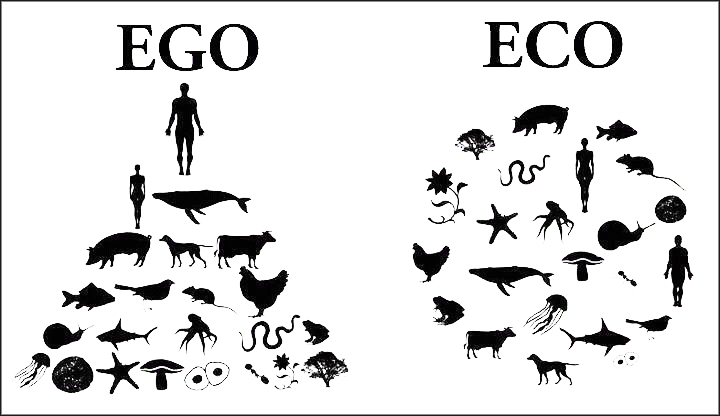 ego-eco